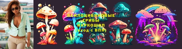 тгк Богданович